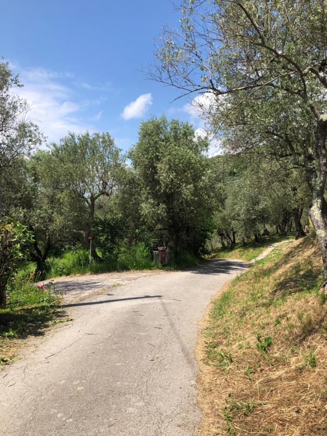 Casa Alma Lejlighed Castelnuovo Magra Eksteriør billede