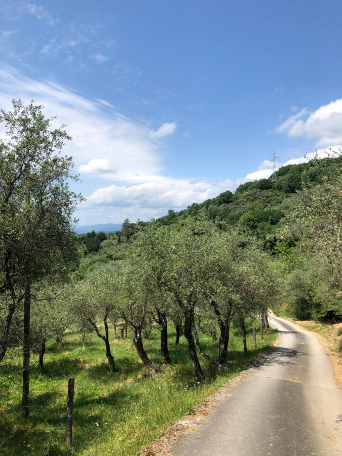 Casa Alma Lejlighed Castelnuovo Magra Eksteriør billede